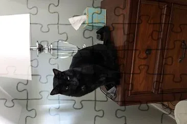 Mitch jigsaw puzzle