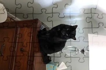 Mitch jigsaw puzzle