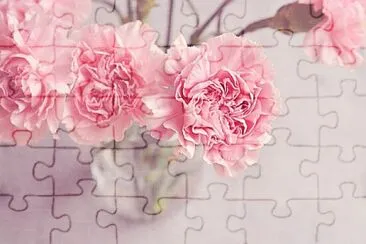 Foto jigsaw puzzle