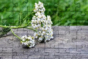 Foto jigsaw puzzle