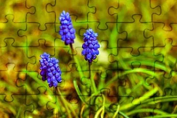 Foto jigsaw puzzle