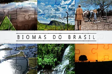 RIQUEZAS DO NOSSO BRASIL!! VAMOS PRESERVAR!!! jigsaw puzzle