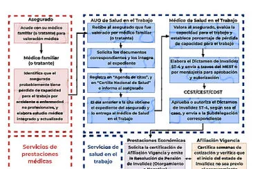 Proceso de determinación del estado de invalidez