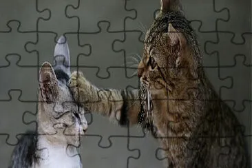 LOS ANIMALITOS SON LOS MEJORES AMIGOS jigsaw puzzle