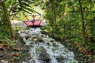 פאזל של Cascada, Jardín Botánico, Universidad de Puerto Ri