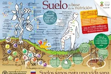 El suelo y su conservación