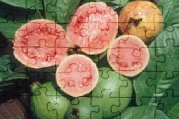 Foto jigsaw puzzle