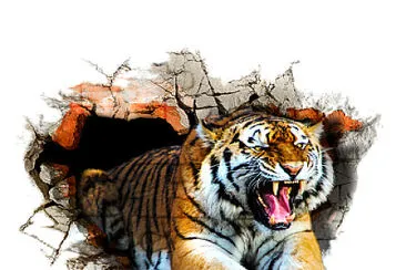 tigre jigsaw puzzle