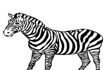 פאזל של ZEBRA