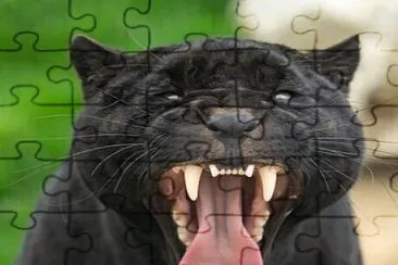 CENÁRIO K610 jigsaw puzzle