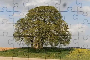 idyllisch jigsaw puzzle