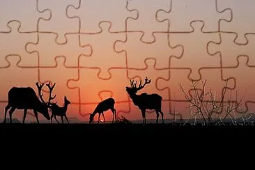 Toy jigsaw puzzle