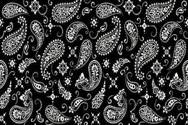 Black   White Paisley Pattern