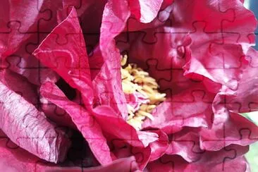 magenta jigsaw puzzle