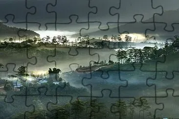 Toy jigsaw puzzle