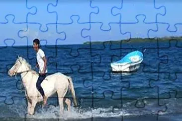 Playa jigsaw puzzle