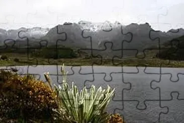 Laguna jigsaw puzzle