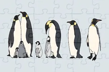 Familia de Pingüinos