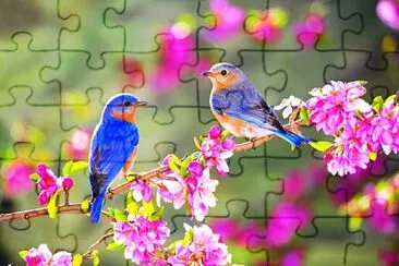 pájaros en rama en flor jigsaw puzzle