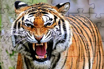 harimau jigsaw puzzle