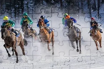 Foto jigsaw puzzle