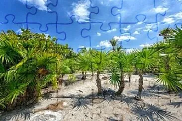 Foto jigsaw puzzle