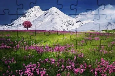 Montagne fleurie jigsaw puzzle