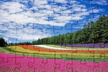 Fleurs jigsaw puzzle