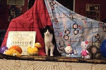 פאזל של Blanket Fort