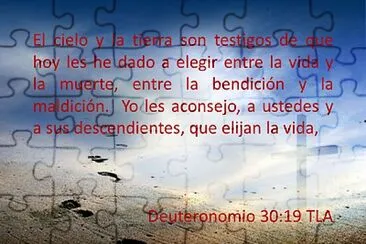 texto biblico