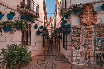 Calle de las Flores-Cordoba