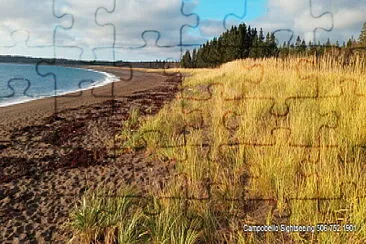 Beach Landscape