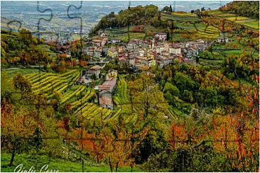 autunno in Valpolicella jigsaw puzzle