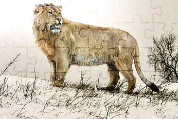 Lion des cavernes