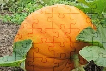 imagem jigsaw puzzle