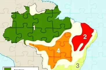 Domínios morfoclimáticos