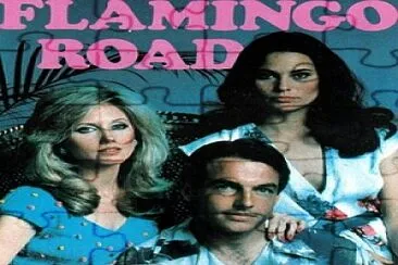 Flamingo Road