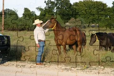 Wagon Wheel Ranch