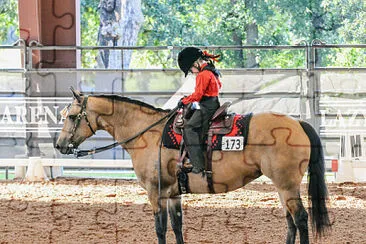 2018 Western Dressage World Championship Show