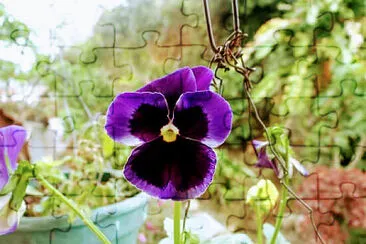 FLORES jigsaw puzzle