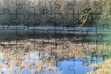 Etang Hauts de Seine jigsaw puzzle