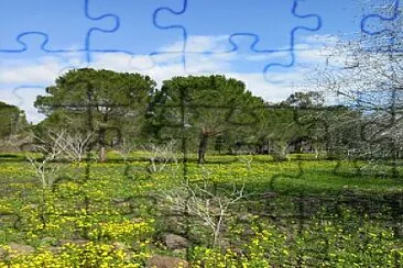 daliot jigsaw puzzle