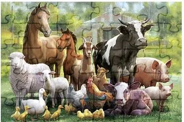 Fazenda jigsaw puzzle