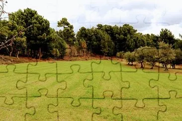 NATURALEZA jigsaw puzzle