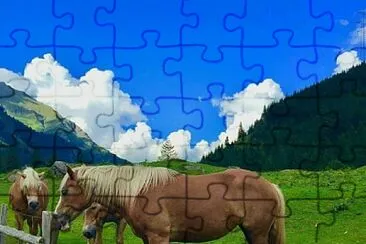 imagem jigsaw puzzle