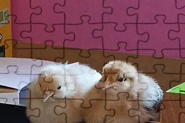 La pause de Cuicui et Nogétse jigsaw puzzle