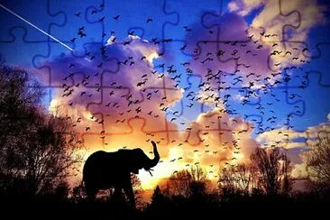 Elephant jigsaw puzzle