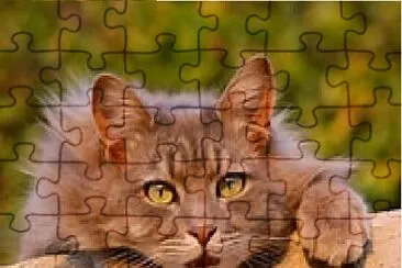 Fluffy Kitty jigsaw puzzle