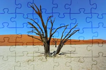 Eu jigsaw puzzle