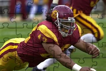 USC TroyPolamalu1 jigsaw puzzle